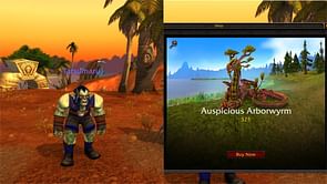 Why the WoW Classic Cash Shop might be a questionable addition