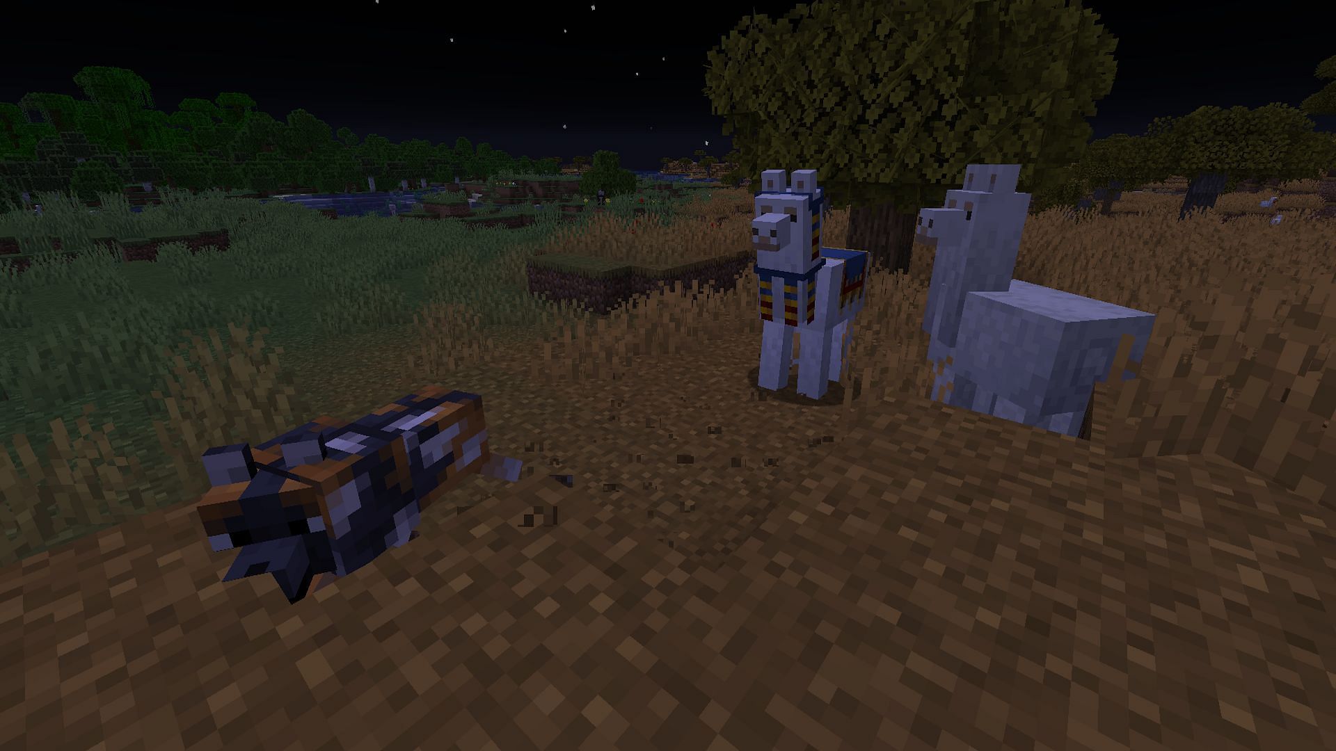 Llamas will attack in self defense, or just to bully nearby wolves (Image via Mojang)