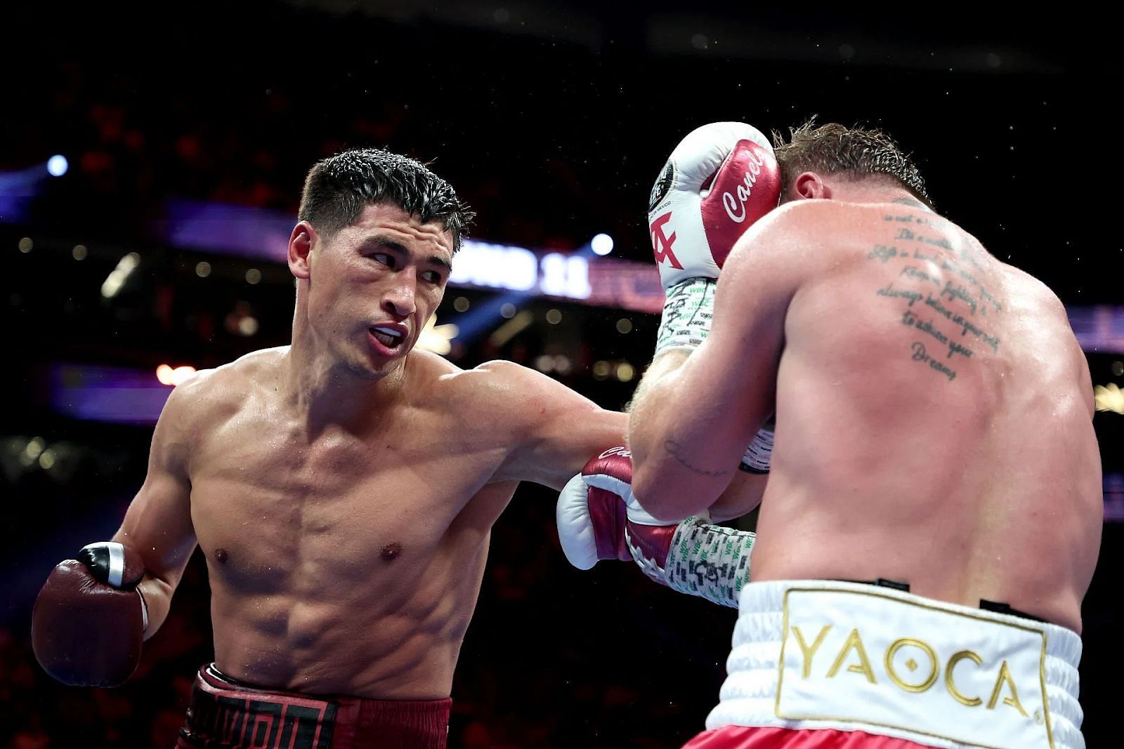 What is Dmitry Bivol's Record?