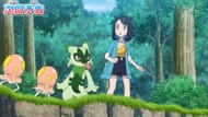 Our heroes meet a group of wild Pokemon, including Toedscool, in Episode 51's preview (Image via The Pokemon Company)