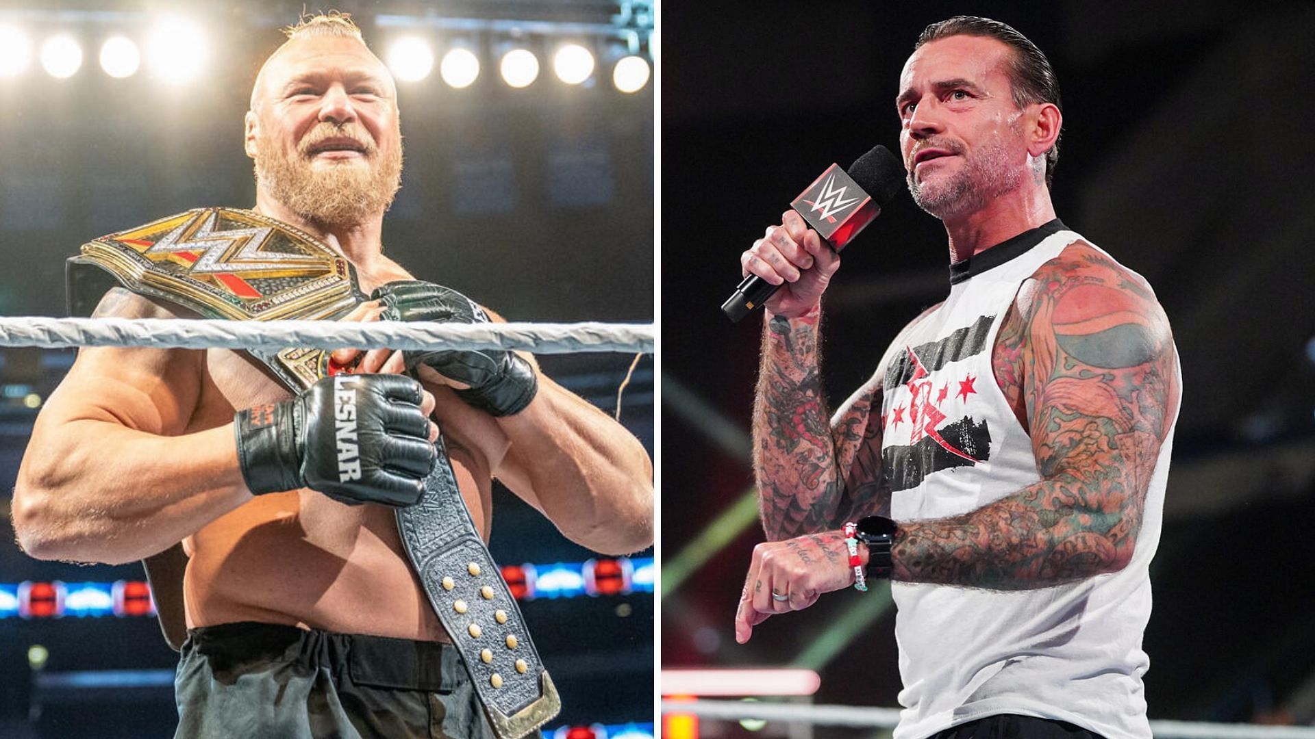 Both Brock Lesnar and CM Punk had spells in the UFC