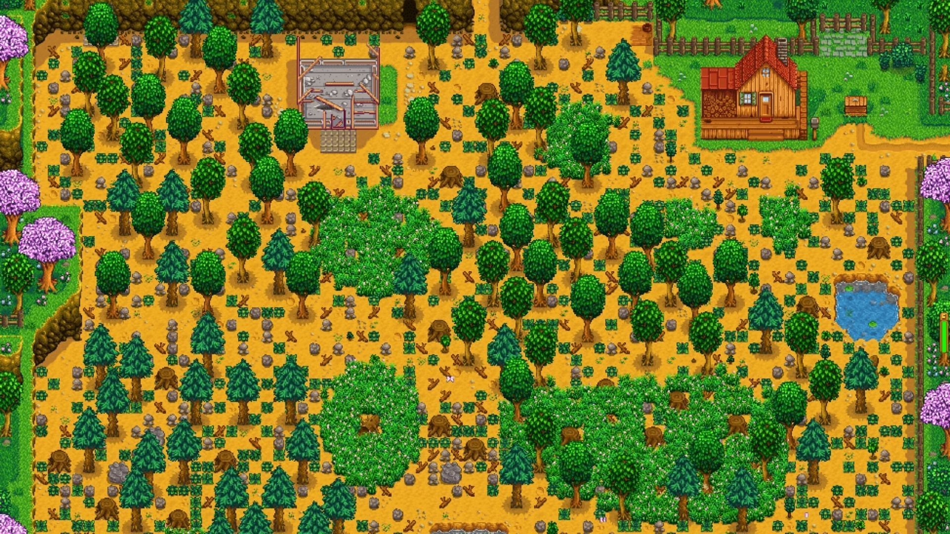 The standard farm layout provides ample space for building and farming. (Image via ConcernedApe)