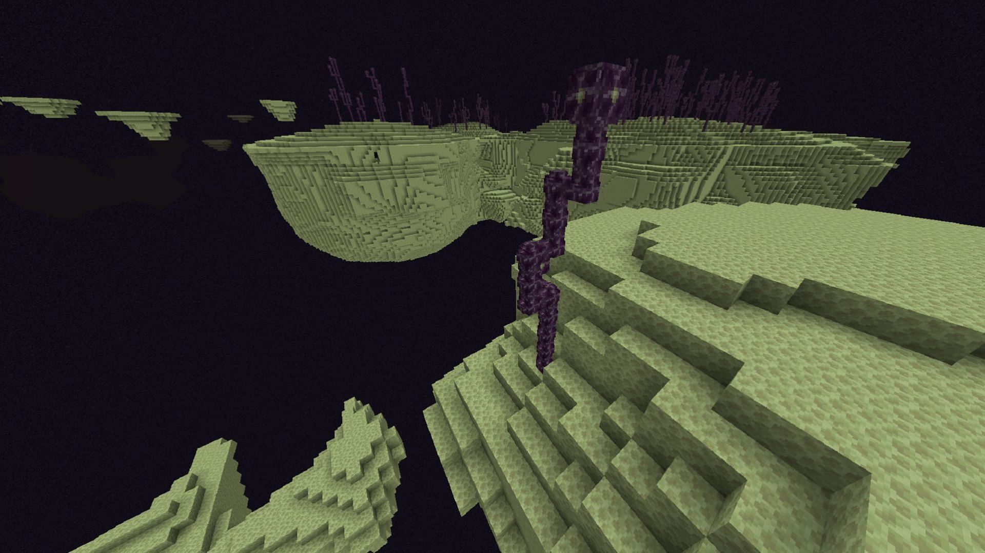 Minecraft players don&#039;t have that many resources worth collecting in the End (Image via Mojang)