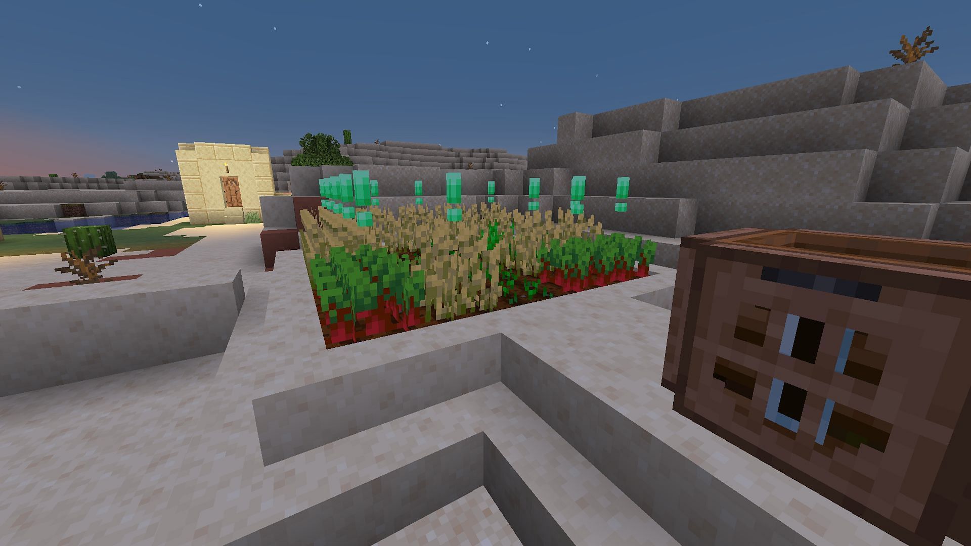 Beetroot found in a village&#039;s farm (Image via Mojang)