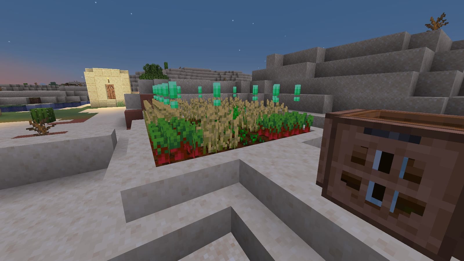 How to get beetroot seeds in Minecraft