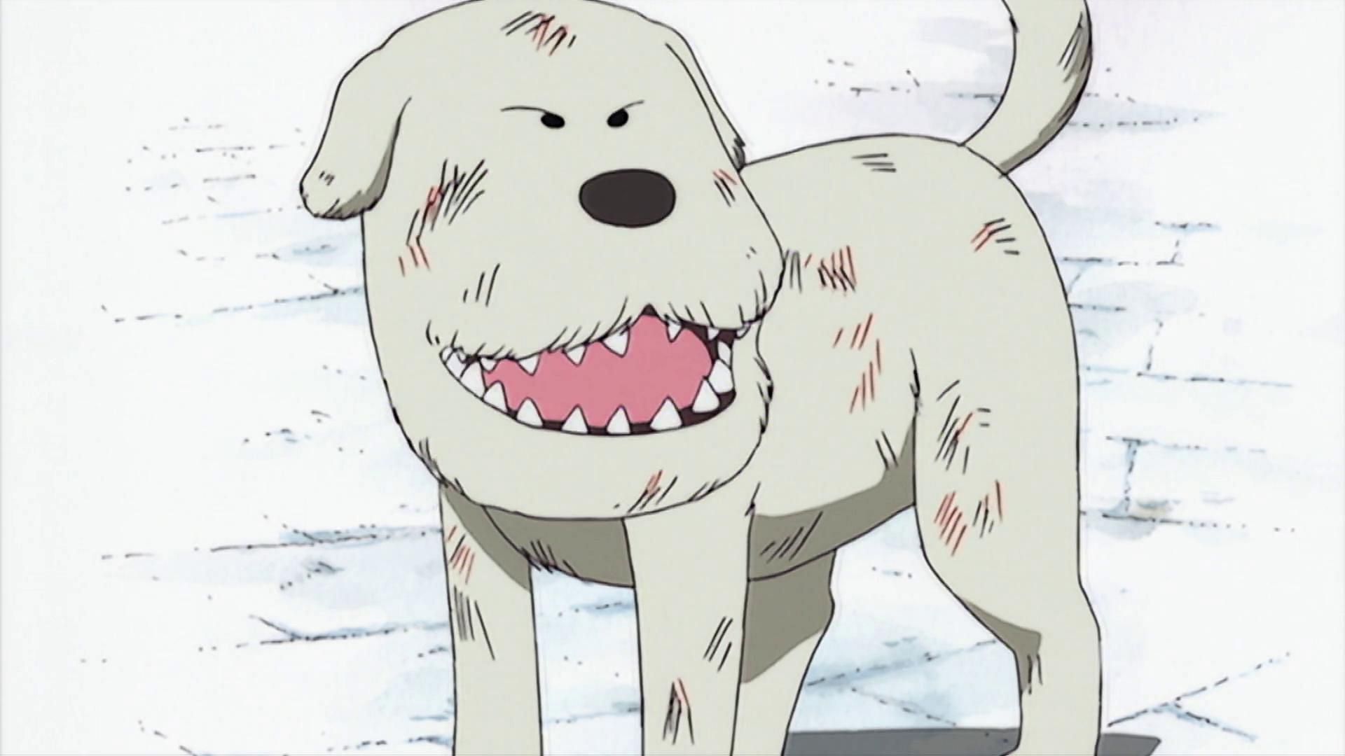 Chouchou, the dog from Orange Town (Image via Toei Animation)
