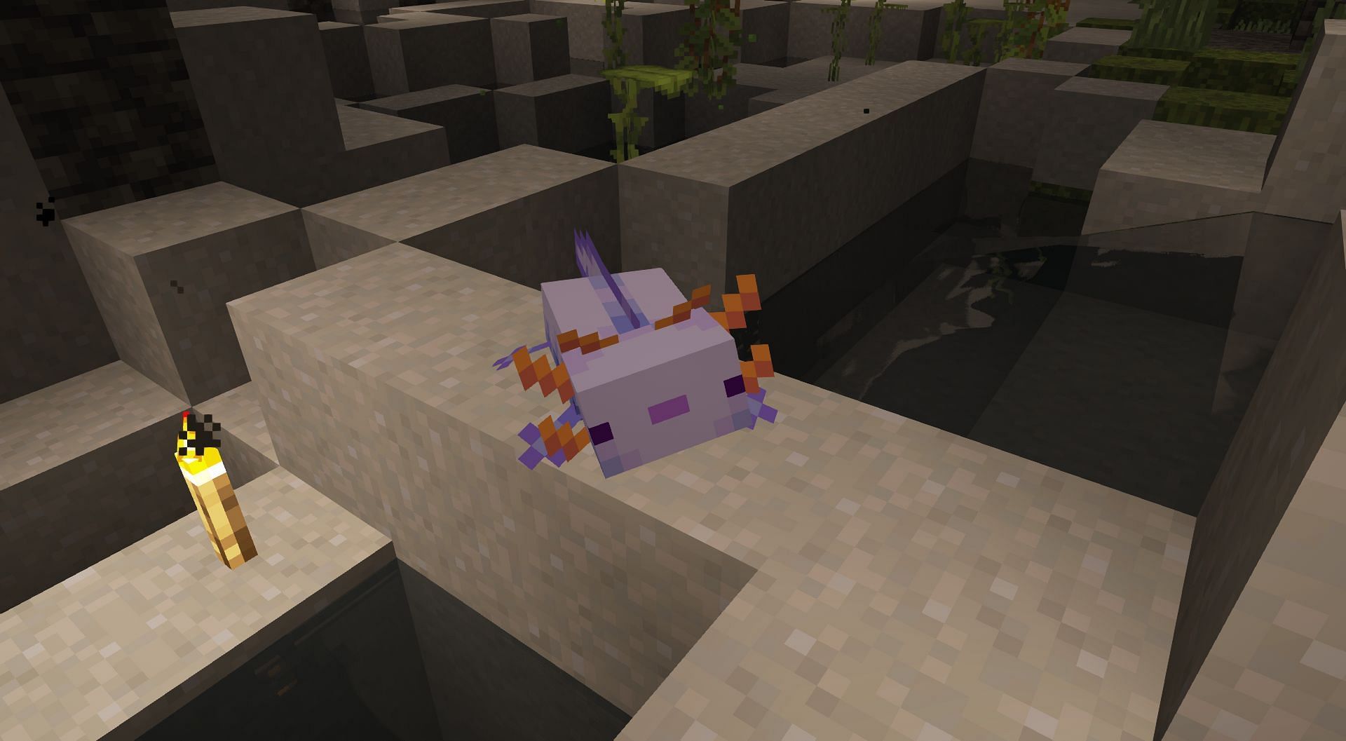 Blue Axolotl only spawns after breeding loads of regular axolotls (Image via Mojang Studios)