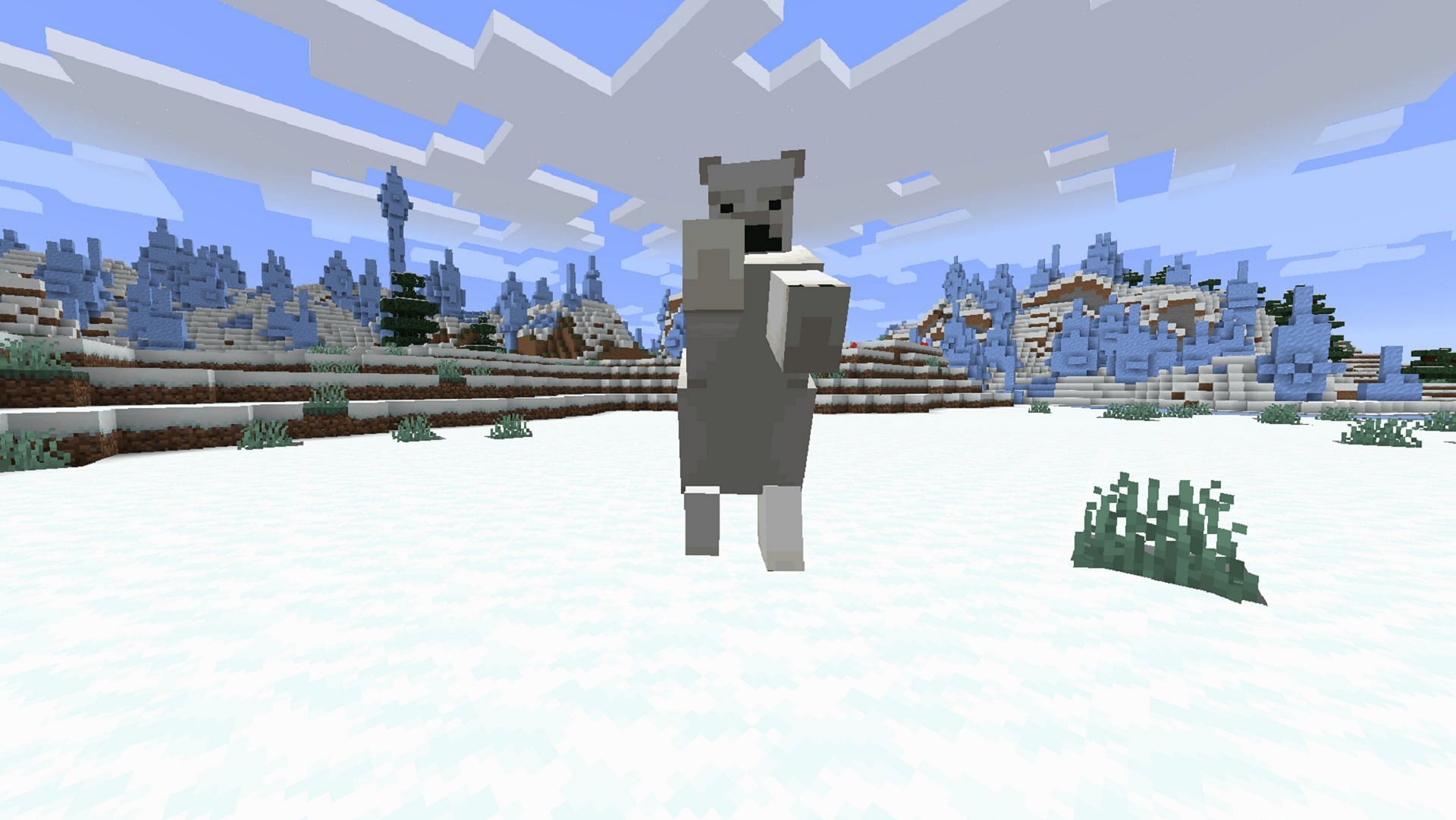 There isn&#039;t much to be done with polar bears in Minecraft (Image via Mojang)