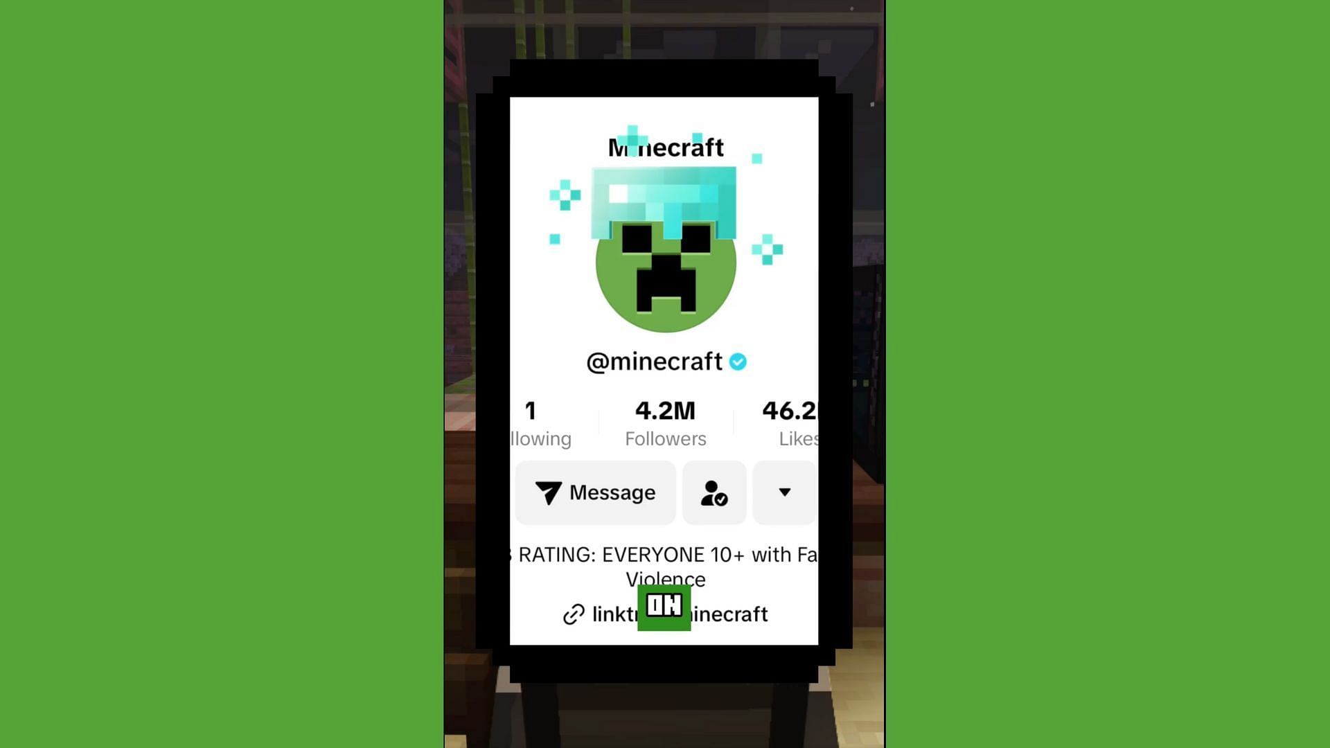 Minecraft TikTok profile pic border