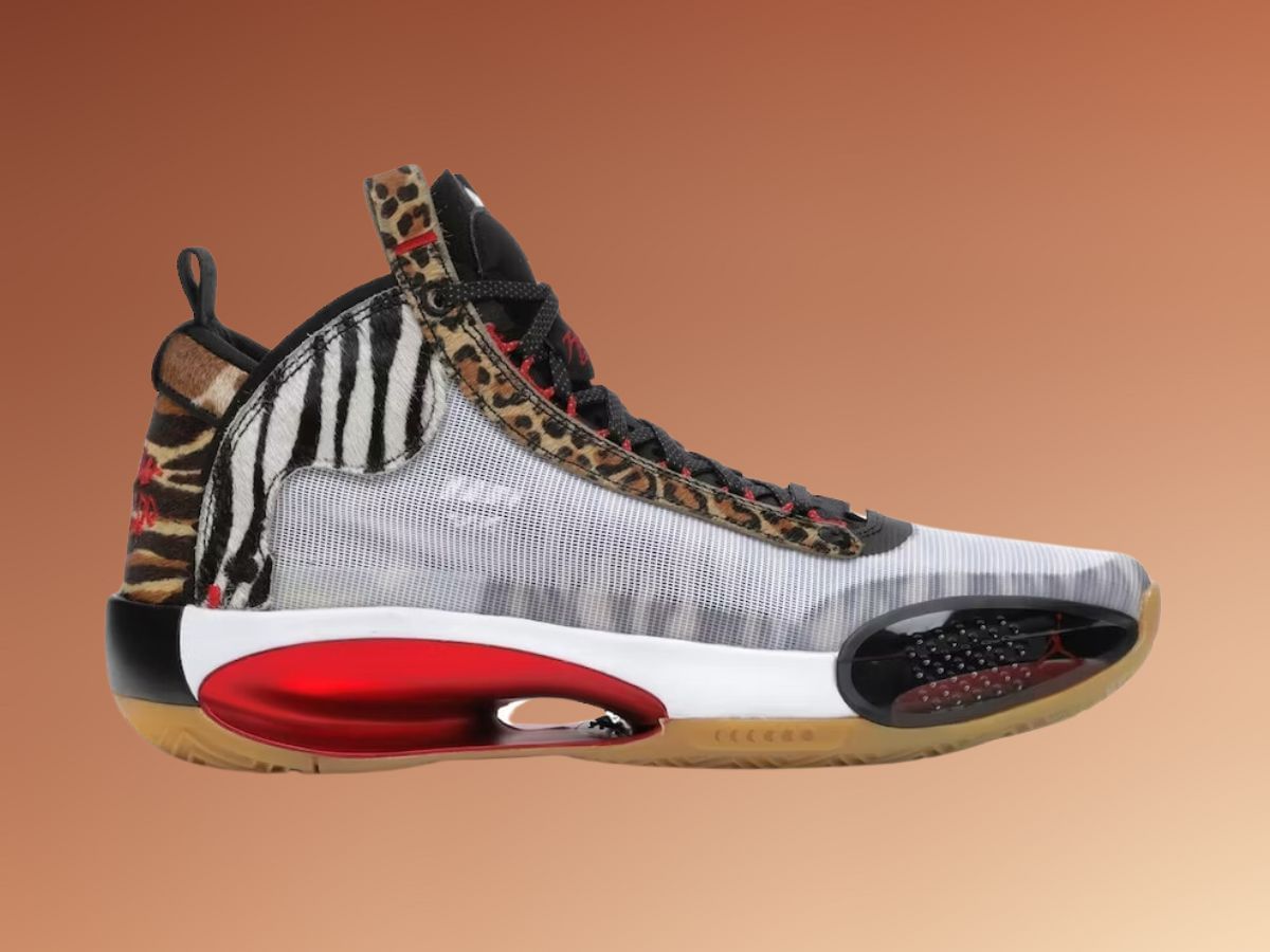 The Jordan XXXIV Welcome to the Zoo (Image via Stock X)