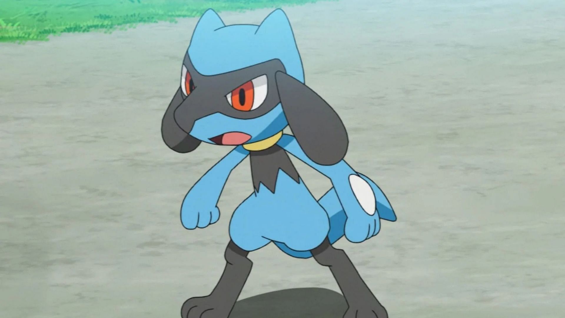 Riolu from the anime (Image via TPC)