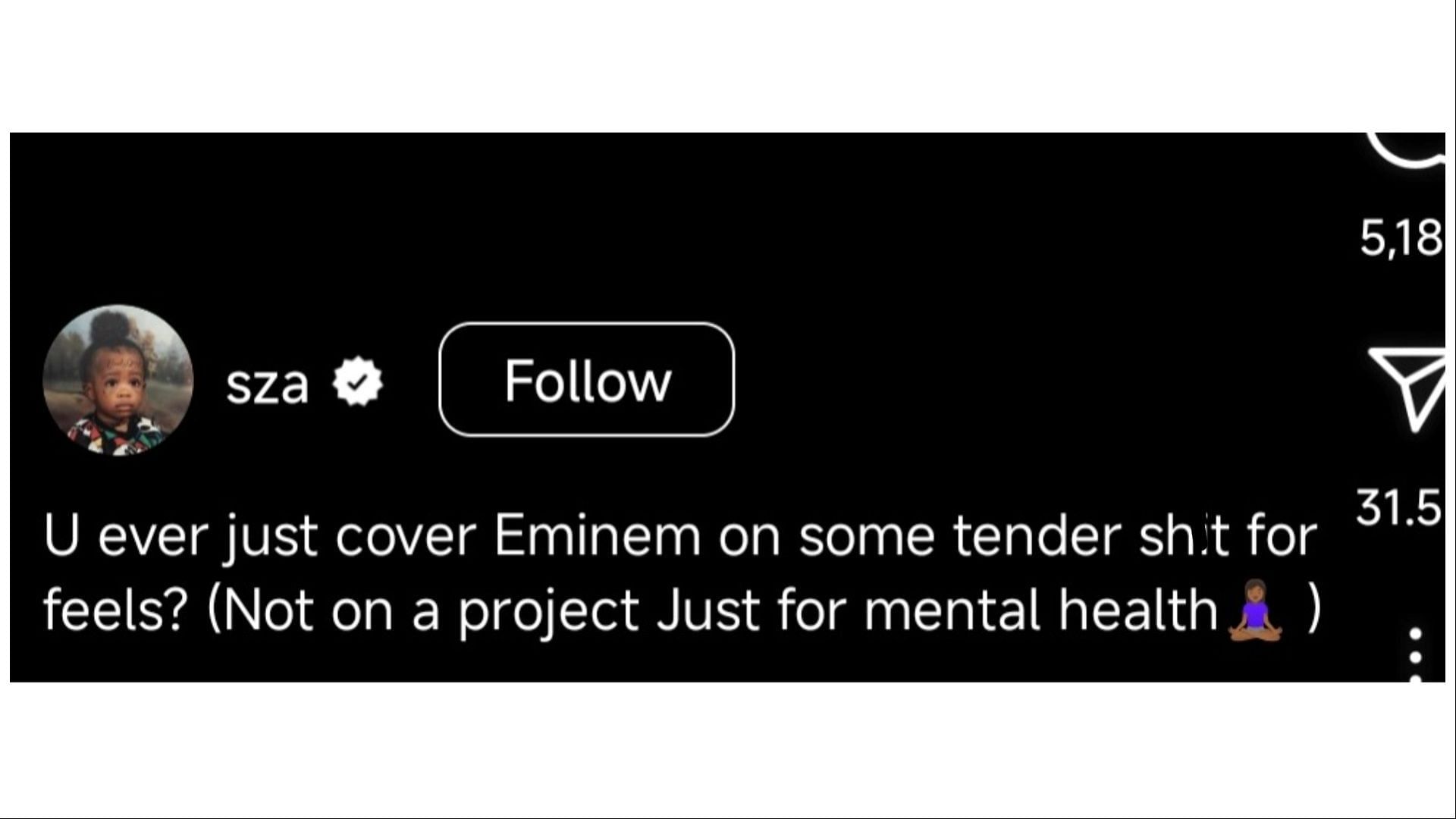 The singer uploaded a cover of Eminem&#039;s song, (Image via @sza/Instagram) Fans reacted to the cover that the singer posted, (Image via @sza/Instagram)