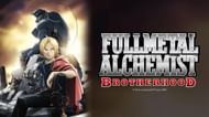 How many episodes are in Full Metal Alchemist Brotherhood?