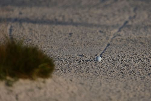 A ball strike at PURE Insurance Championship
