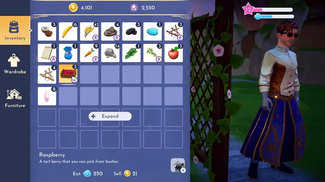 Starlight Raspberry Plant How to make Raspberry Jam Sandwich in Disney Dreamlight Valley