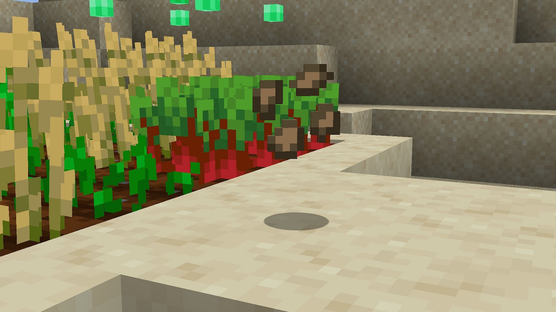 Beetroot seeds in Minecraft are a useful item to track down early for farming (Image via Mojang)
