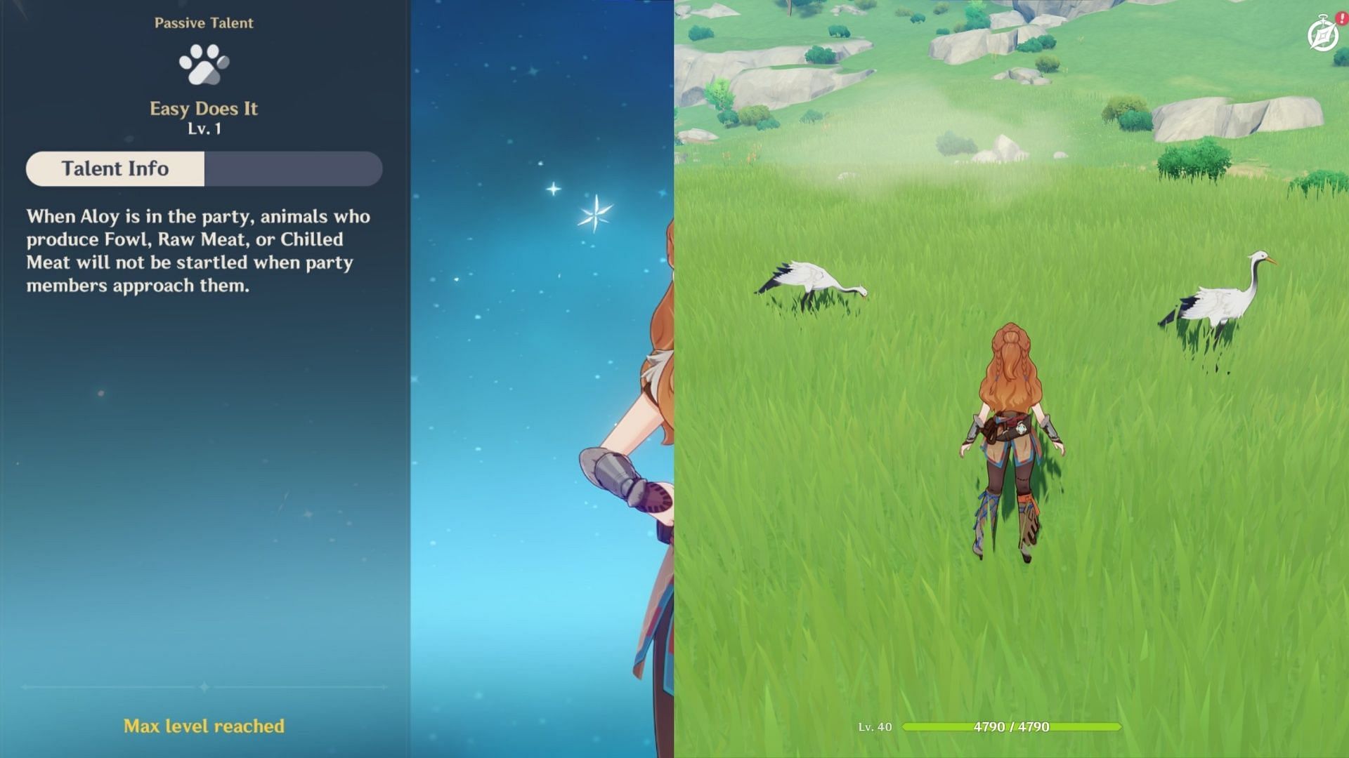 Aloy&#039;s passive allows you to approach birds (Image via HoYoverse)