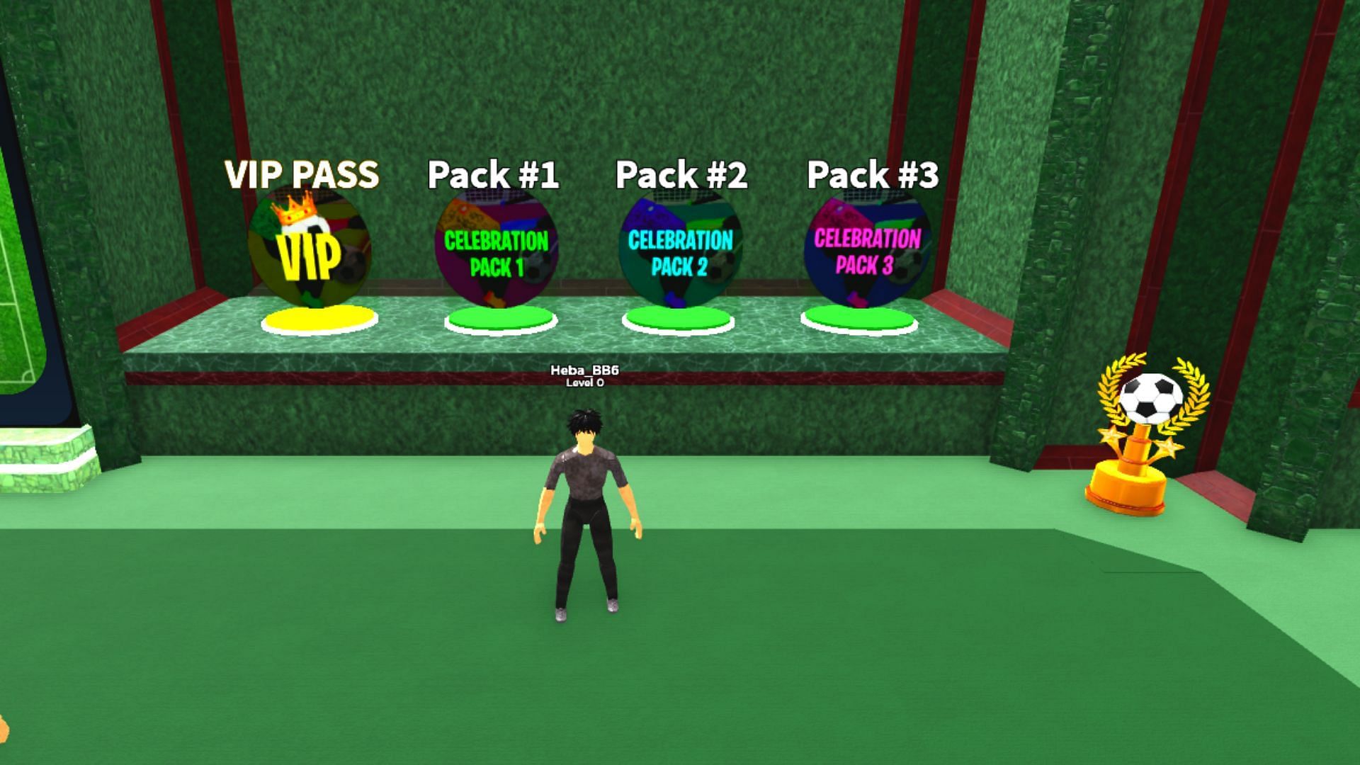 VIP Pass &amp; Multiple Celebration Pack in Realistic Street Soccer (Image via Roblox)