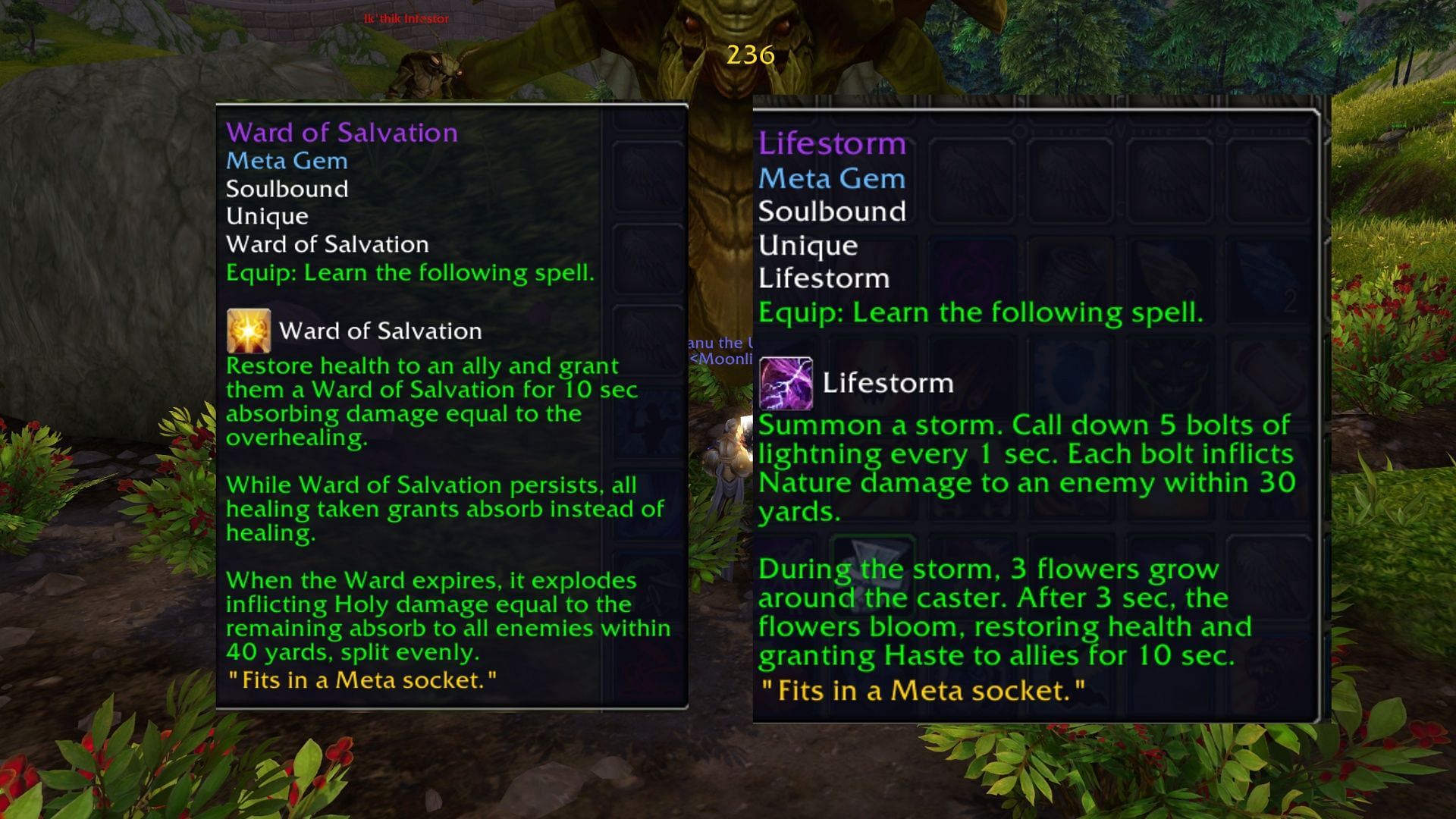 One person needs Lifestorm, everyone else needs Ward of Salvation (Image via Blizzard Entertainment)