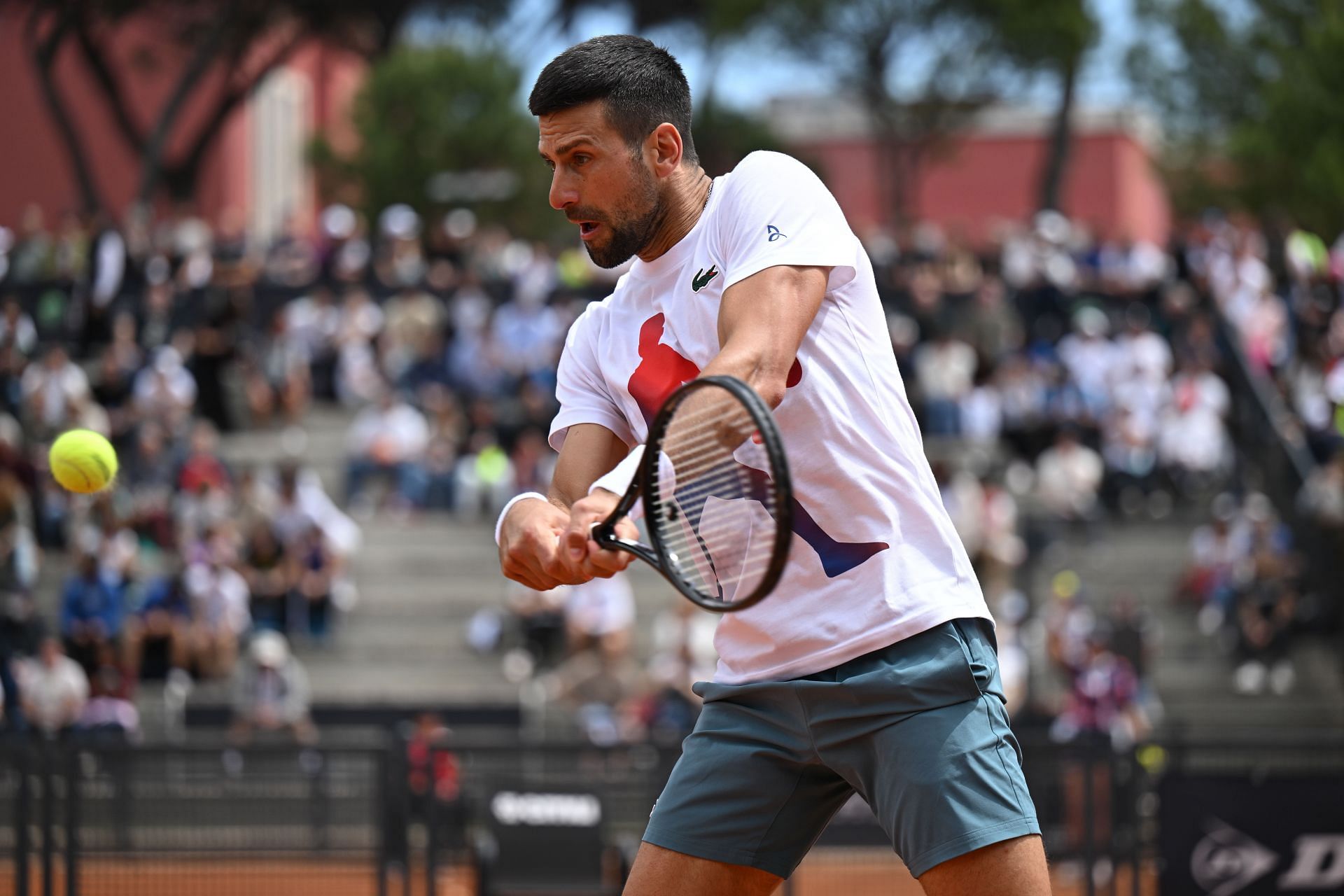 Novak Djokovic at the 2024 Italian Open.