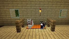 Do Minecraft pets despawn?
