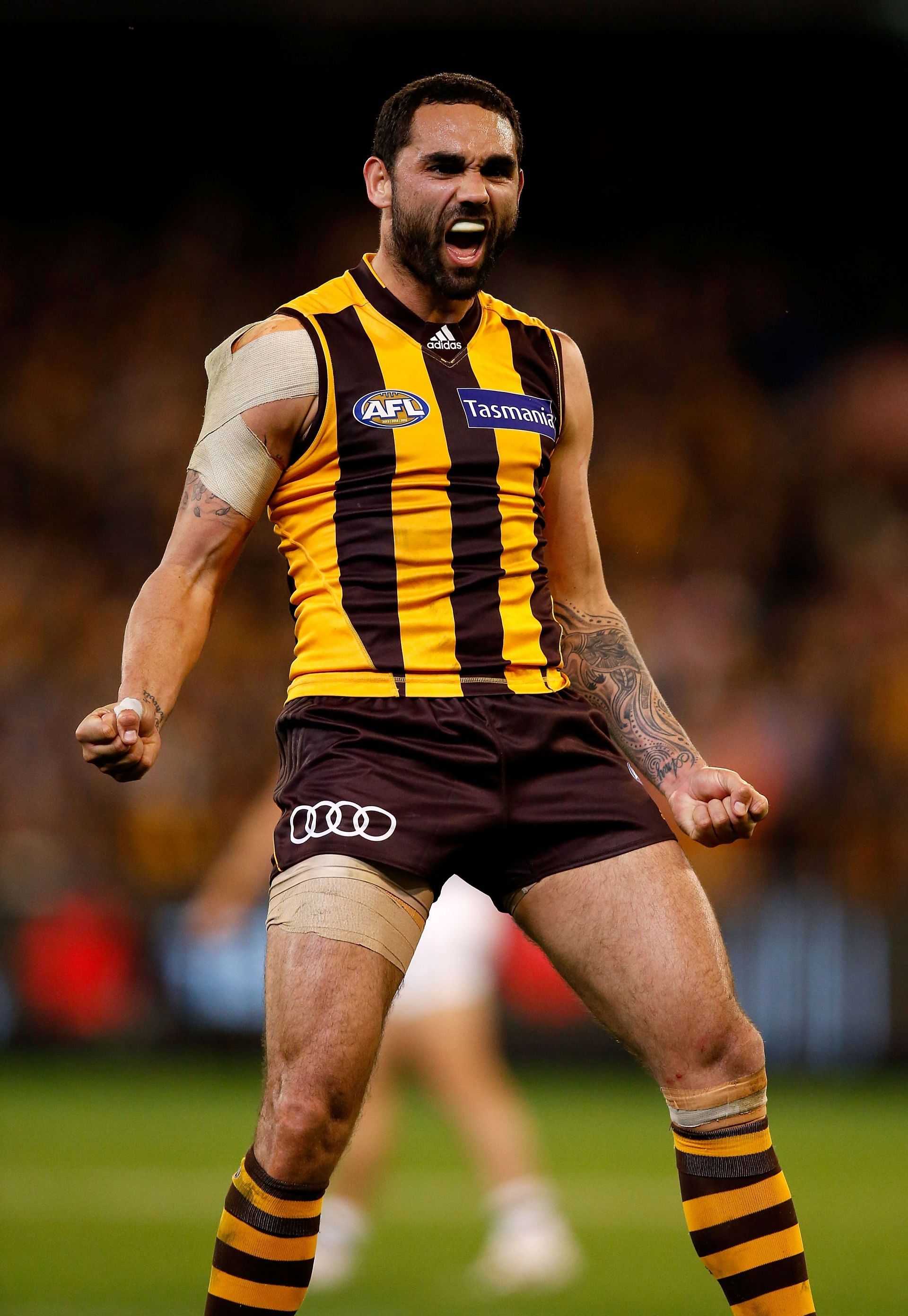 Shaun Burgoyne of the Hawks