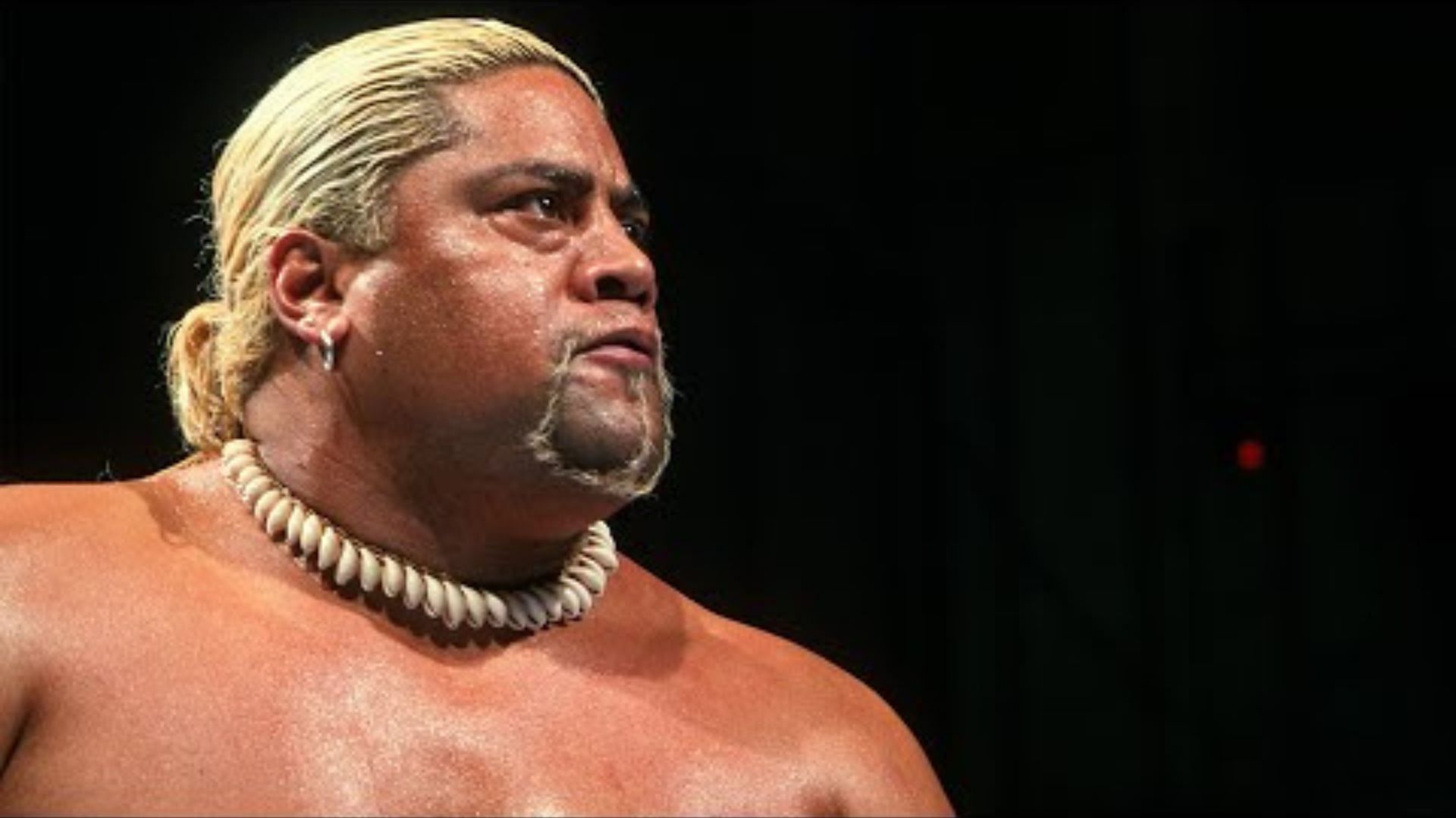 Rikishi is a member of the Anoa