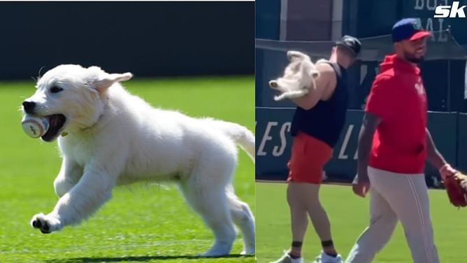 WATCH: Matt Chapman's dog steals the show with impressive fetching skills during Phillies infield practice