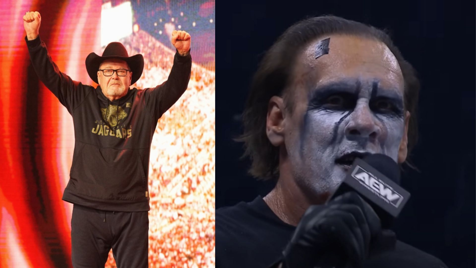 Sting retired as AEW World Tag Team Champion [Image Credits: Ross