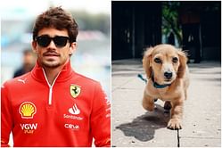 “I don’t have the plastic bag”: Charles Leclerc stands awkwardly as his pet dog Leo litters in the Imola GP paddock