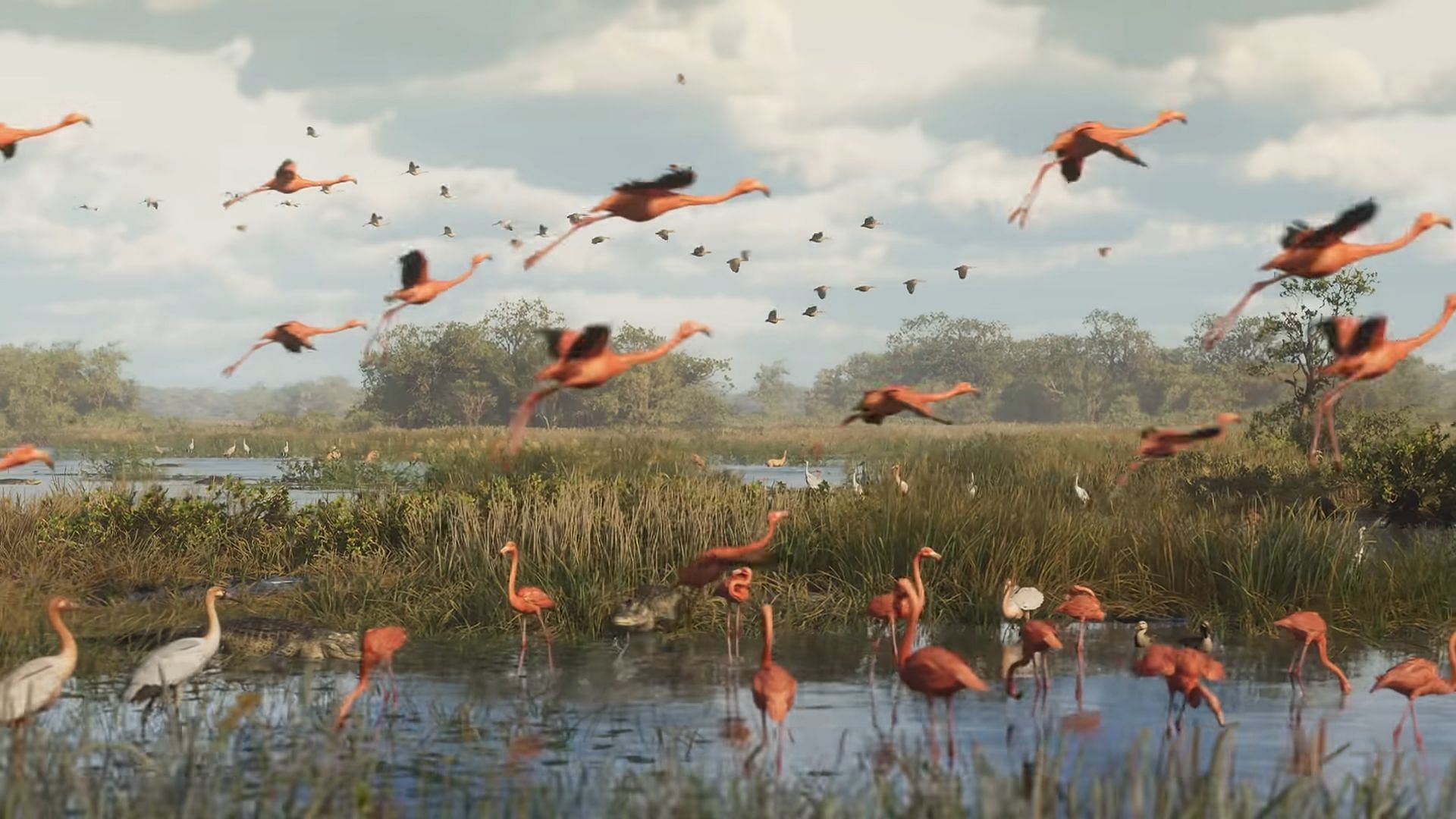 There are lots of flamingoes here (Image via Rockstar Games)