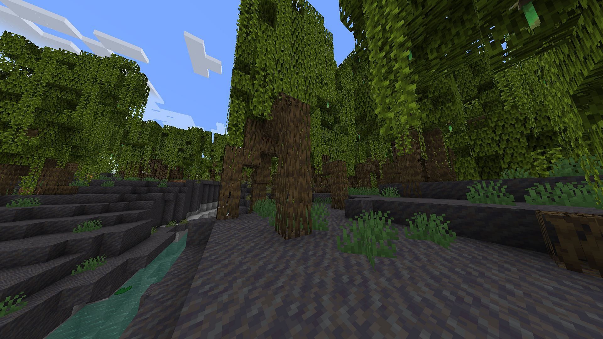 Mangrove trees in mangrove swamps  (Image via Mojang)