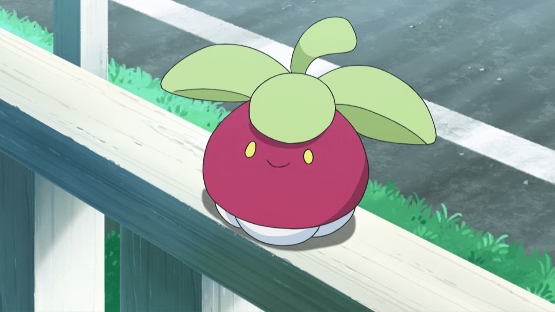 Bounsweet as appeared in the anime (Image via The Pokemon Company)