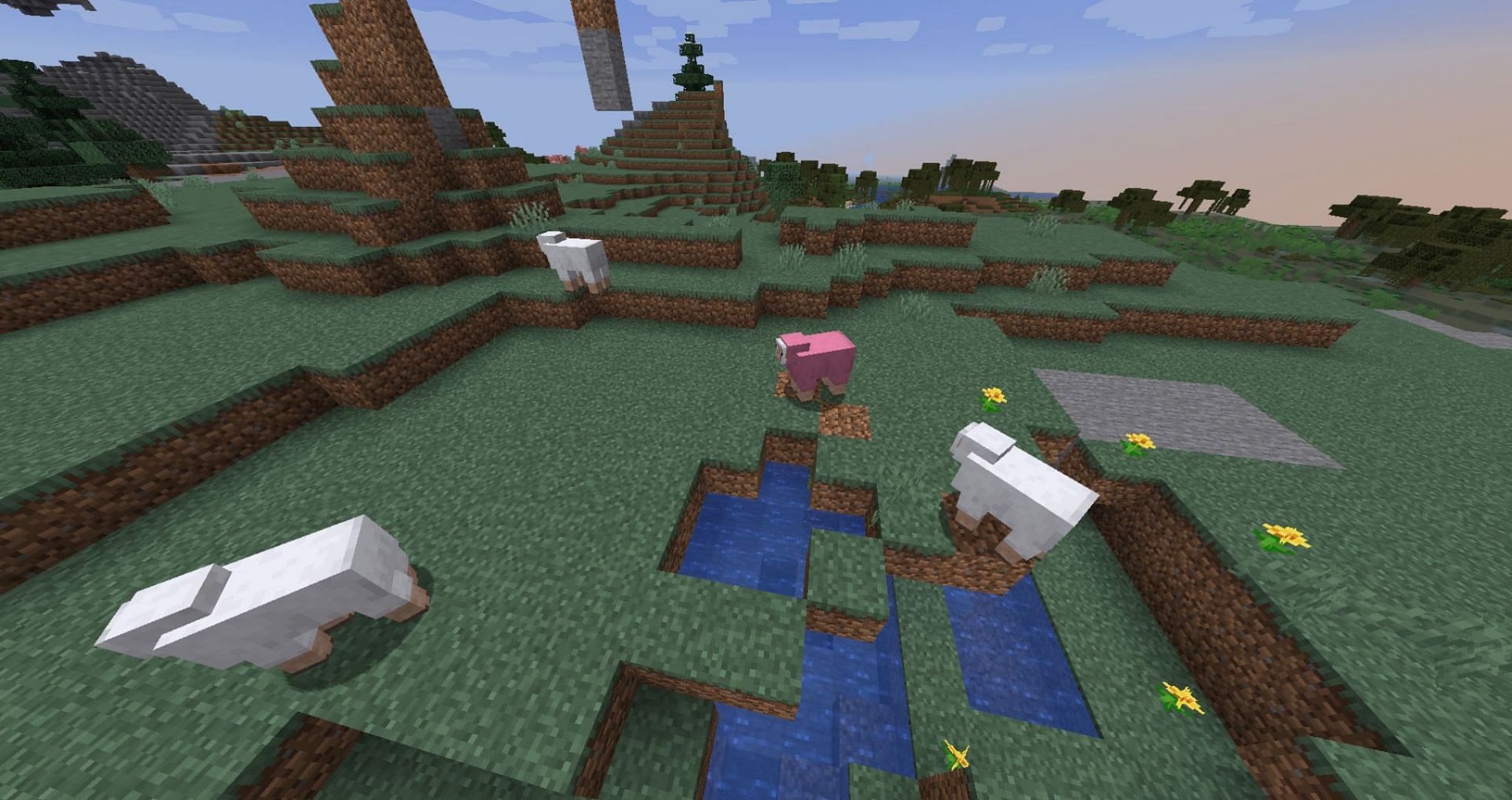 Pink sheep have an extremely small chance of spawning naturally (Image via Mojang Studios)