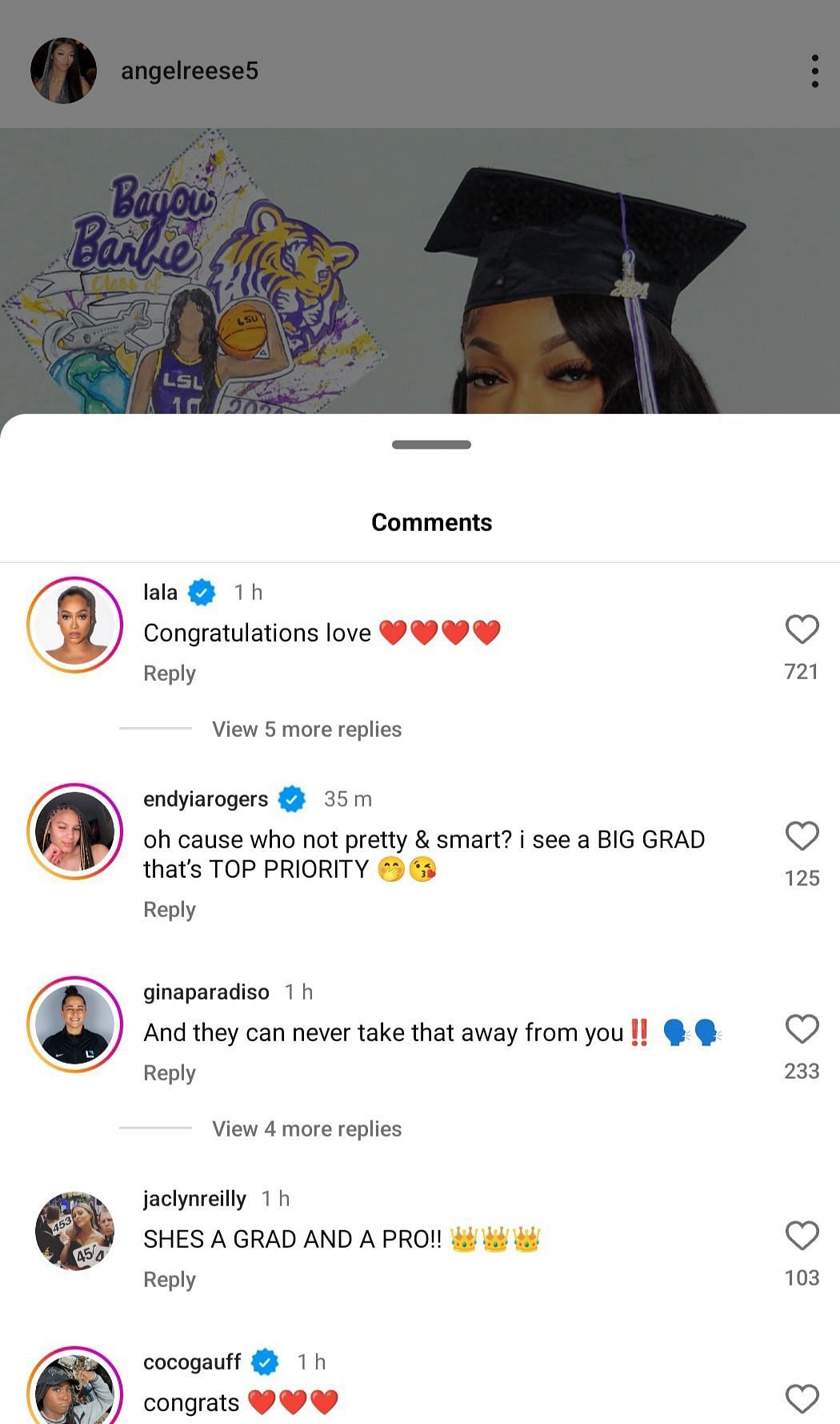 Reese&#039;s IG comment section