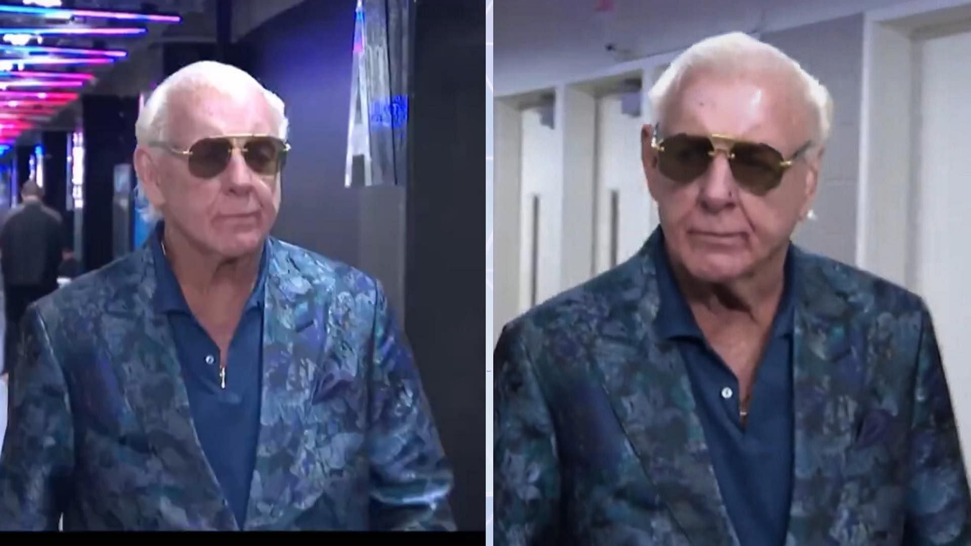 Ric Flair is a beloved wrestling veteran