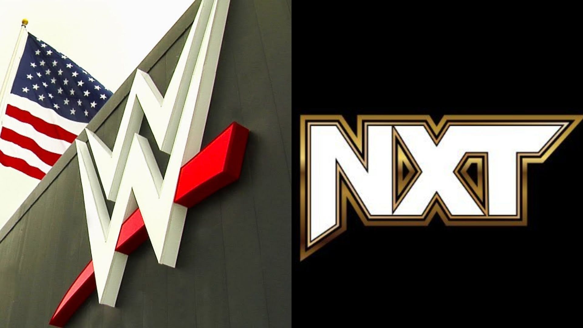 NXT is the development brand of WWE