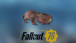 Where to find mole rats in Fallout 76