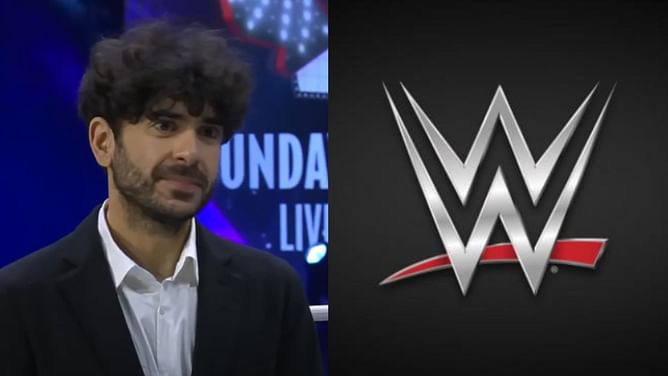 Wrestling veteran comments on Tony Khan's outburst against WWE