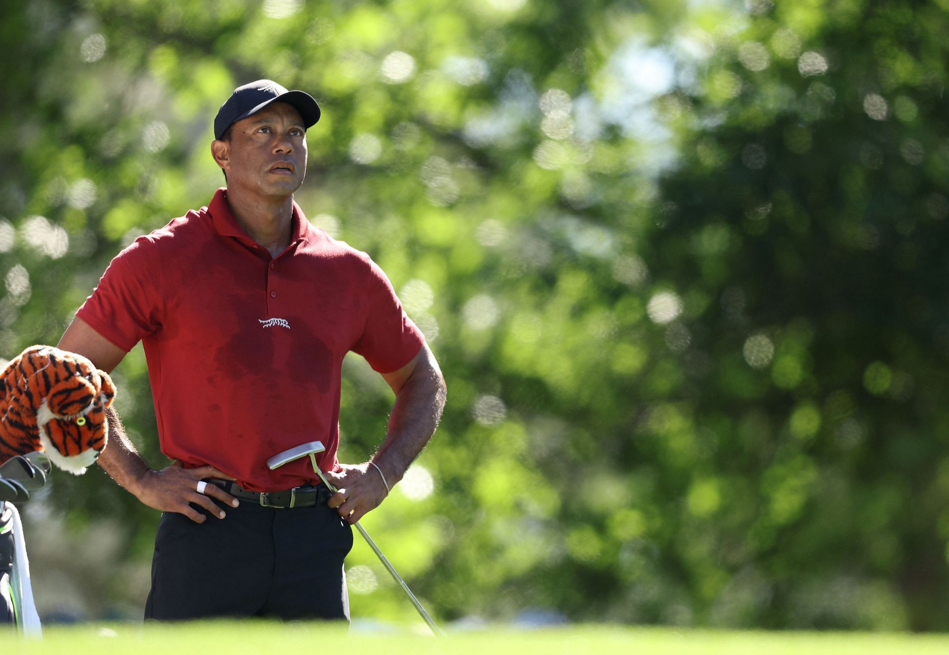 Tiger Woods’ Sun Day Red announces new ‘All Things Red’ collection