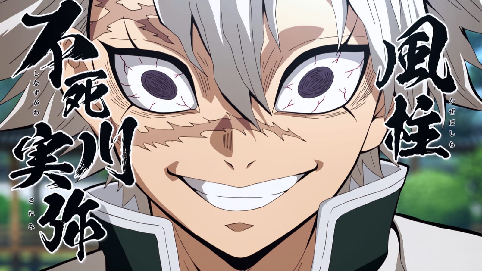 Fates of all 9 Demon Slayer Hashira, ranked chronologically according