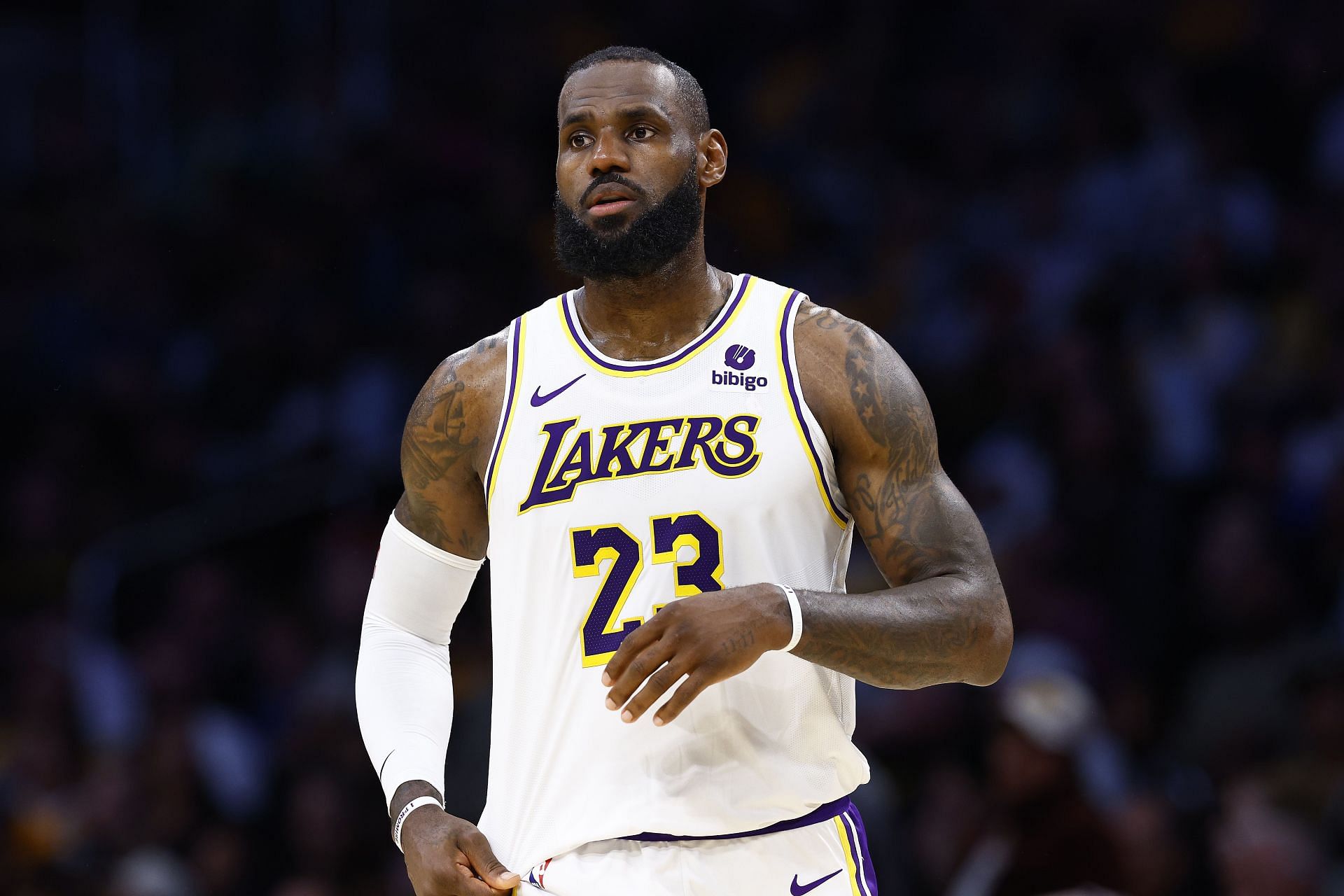 LeBron James will most likely return to play for the LA Lakers next season