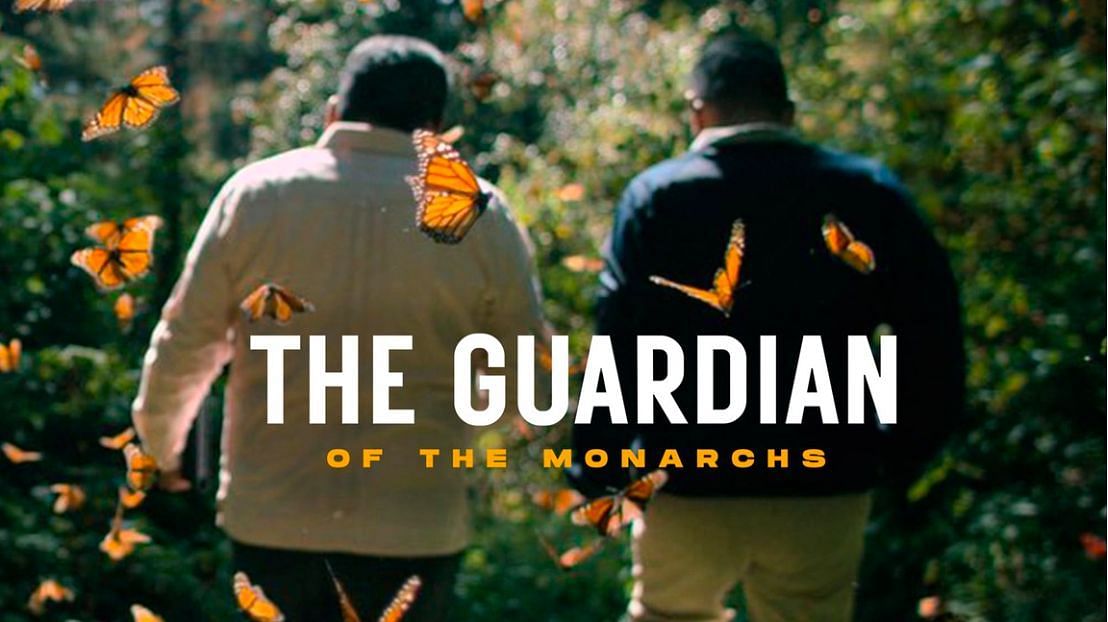 What happened to Homero Gómez from Netflix's The Guardian of the Monarchs?  Butterfly activist's fate explored