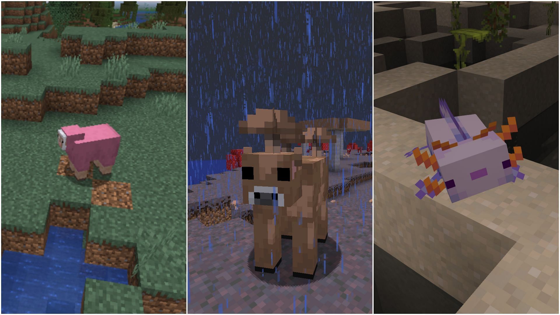 There are many rare variants of certain mobs in Minecraft. (Image via Mojang Studios)