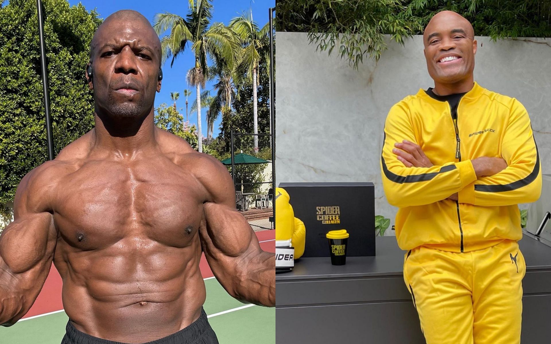 Terry Cruz (left) calls out Anderson Silva (right) for a boxing fight in Brazil [Photo Courtesy @terrycruz and @spiderandersonsilva on Instagram]