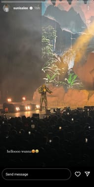 Suni Lee Instagram story