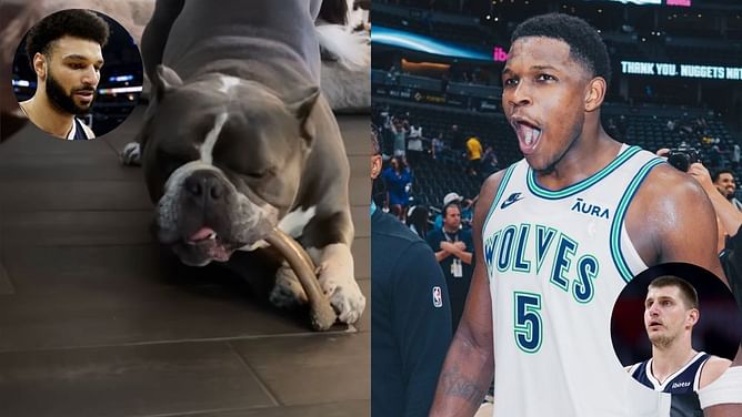 “I call it The Nugget”- Anthony Edwards’ pet dog Ant Jr. hilariously introduces new toy mocking Denver