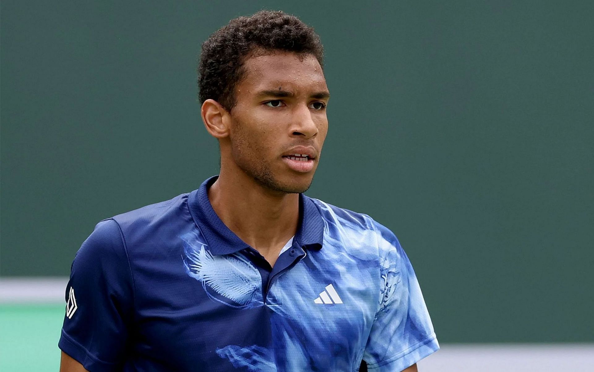 Felix Auger-Aliassime is through to the final of the 2024 Madrid Open