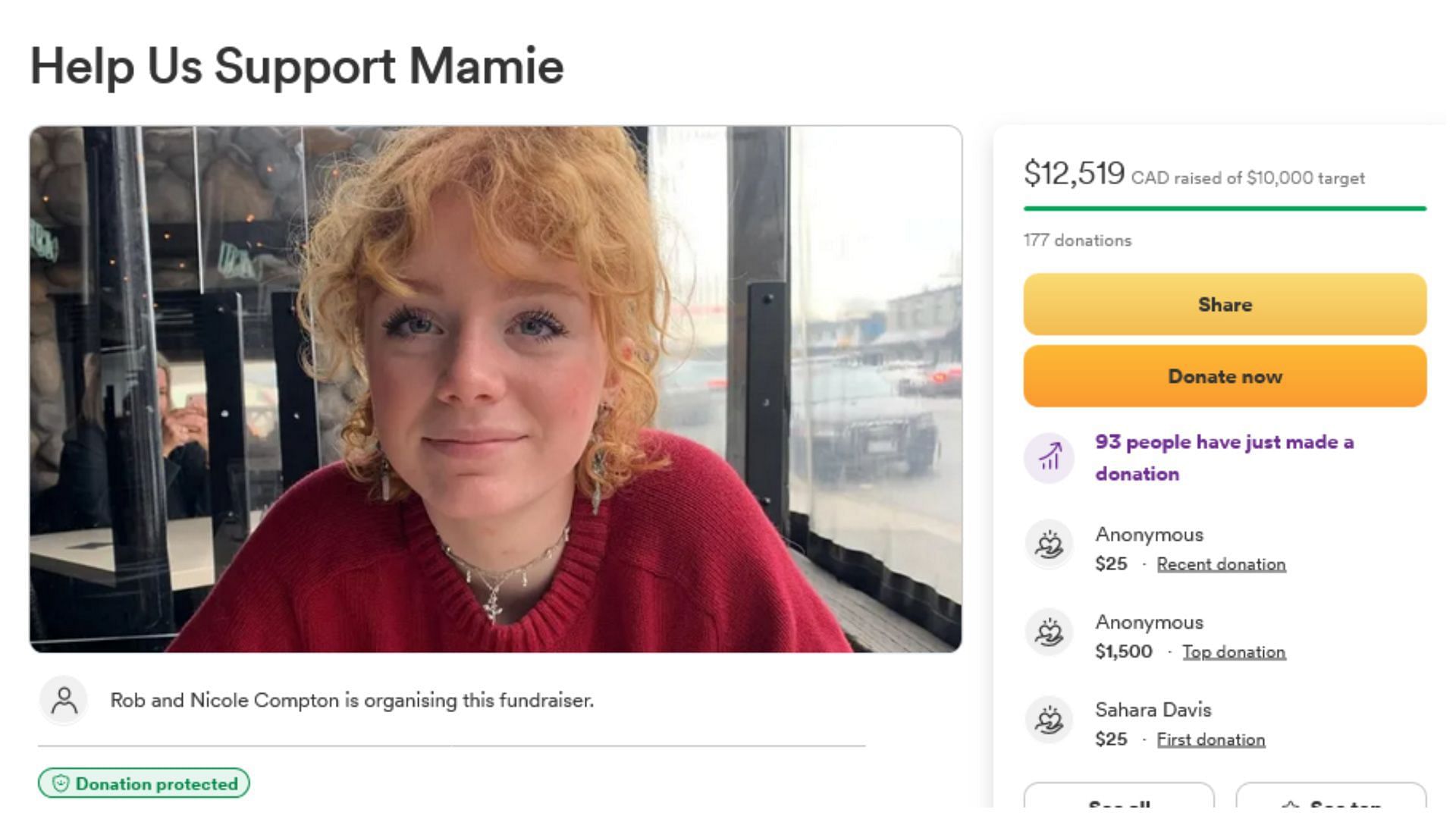 The GoFundMe page set up by the actress&#039; family (Image via GoFundMe)