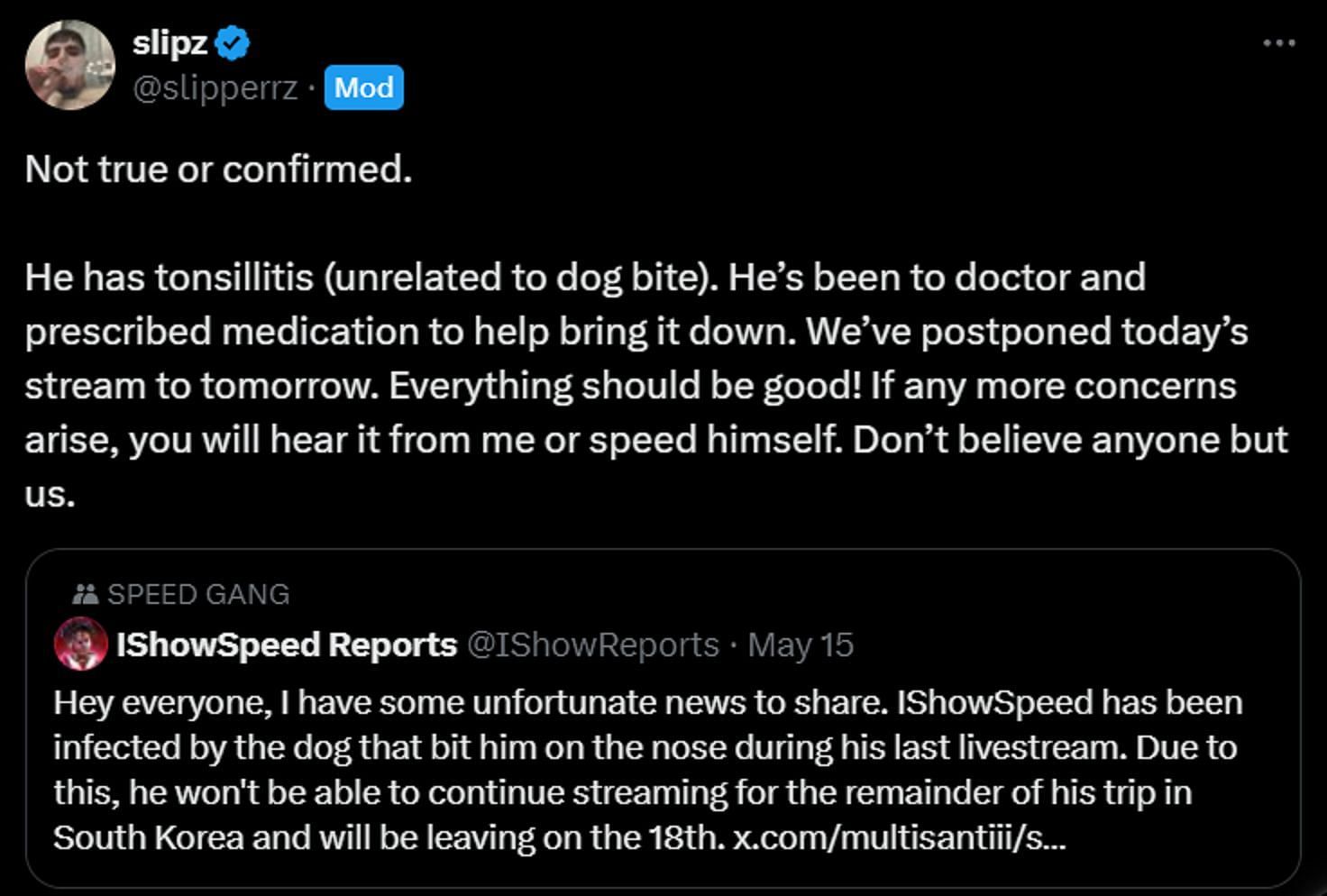 Slipz dismisses rumors of streamer getting infected due to dog bite (Image via X)